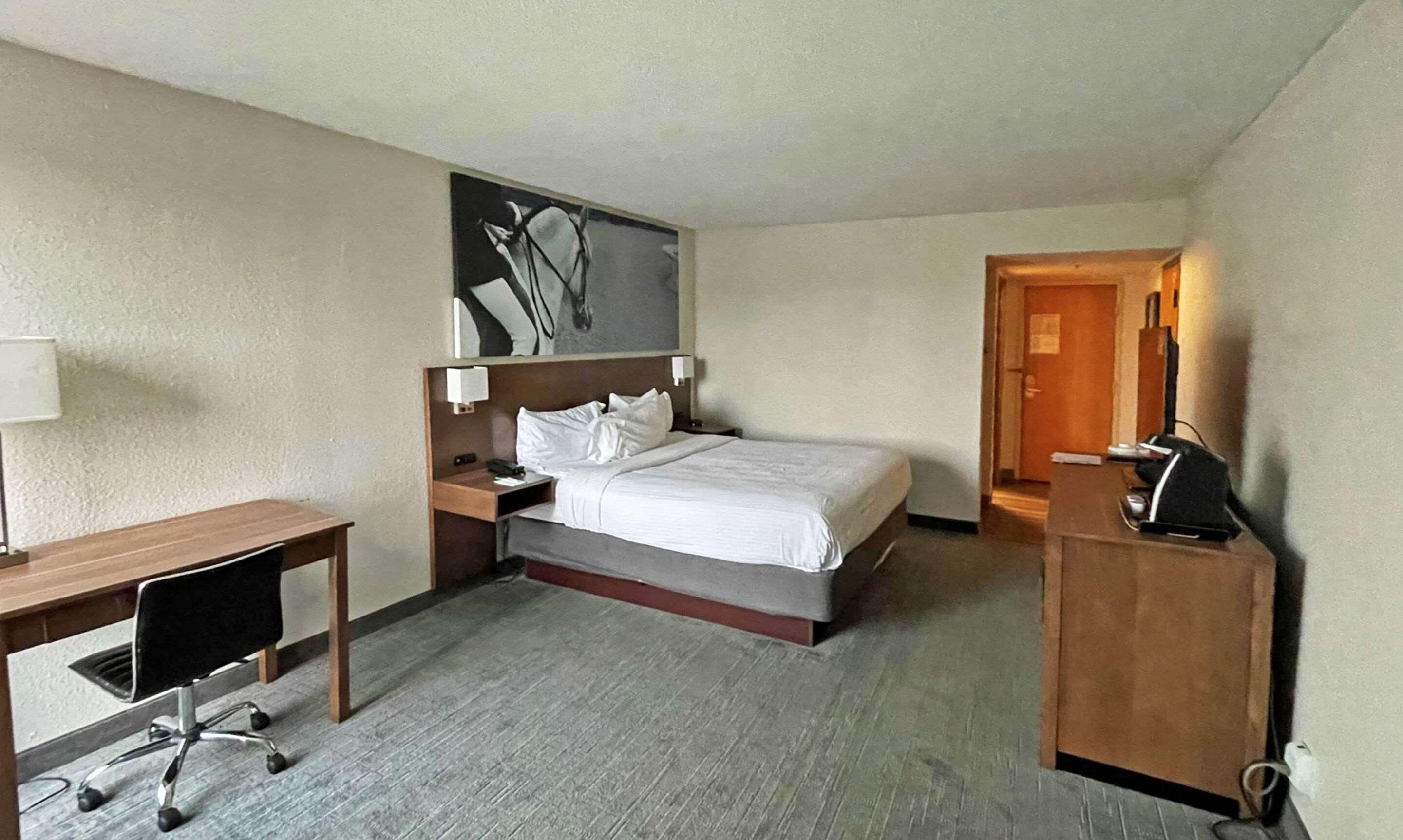 Clarion Pointe Hopkinsville Near The Bruce Convention Center מראה חיצוני תמונה